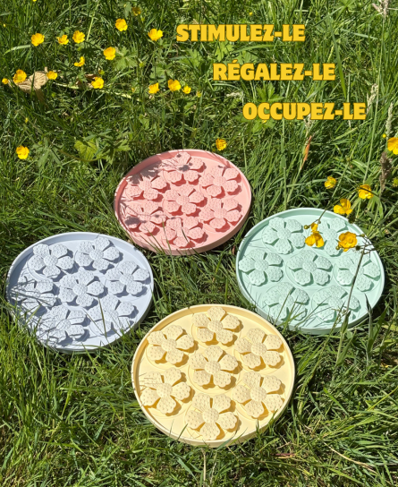 Tapis dâoccupation