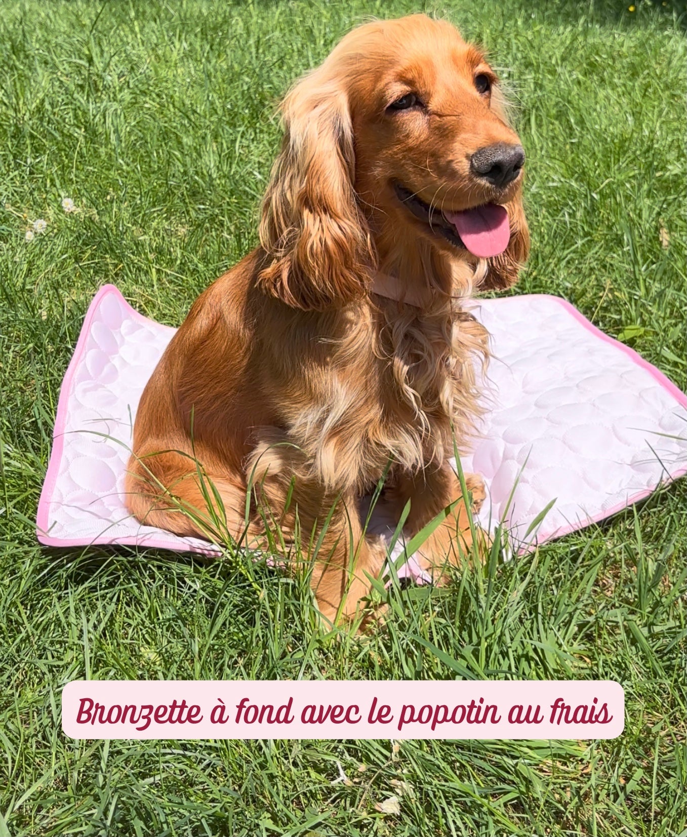 Tapis fraîcheur