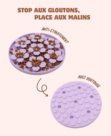 Tapis d’occupation