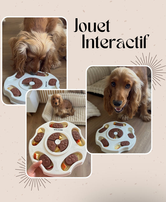 Kit d’occupation - Bleu