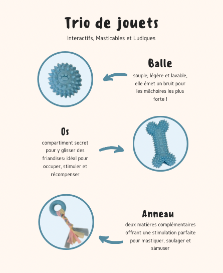 Kit pour chiot - Bleu