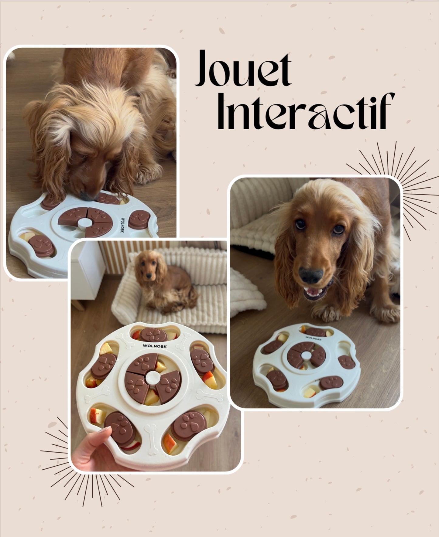 Jouet ludique et gourmand