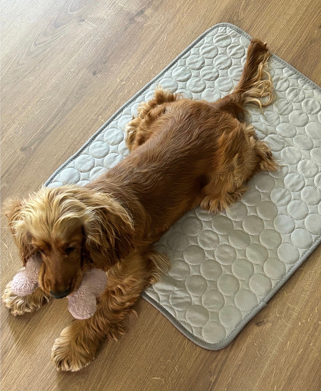 Tapis fraîcheur