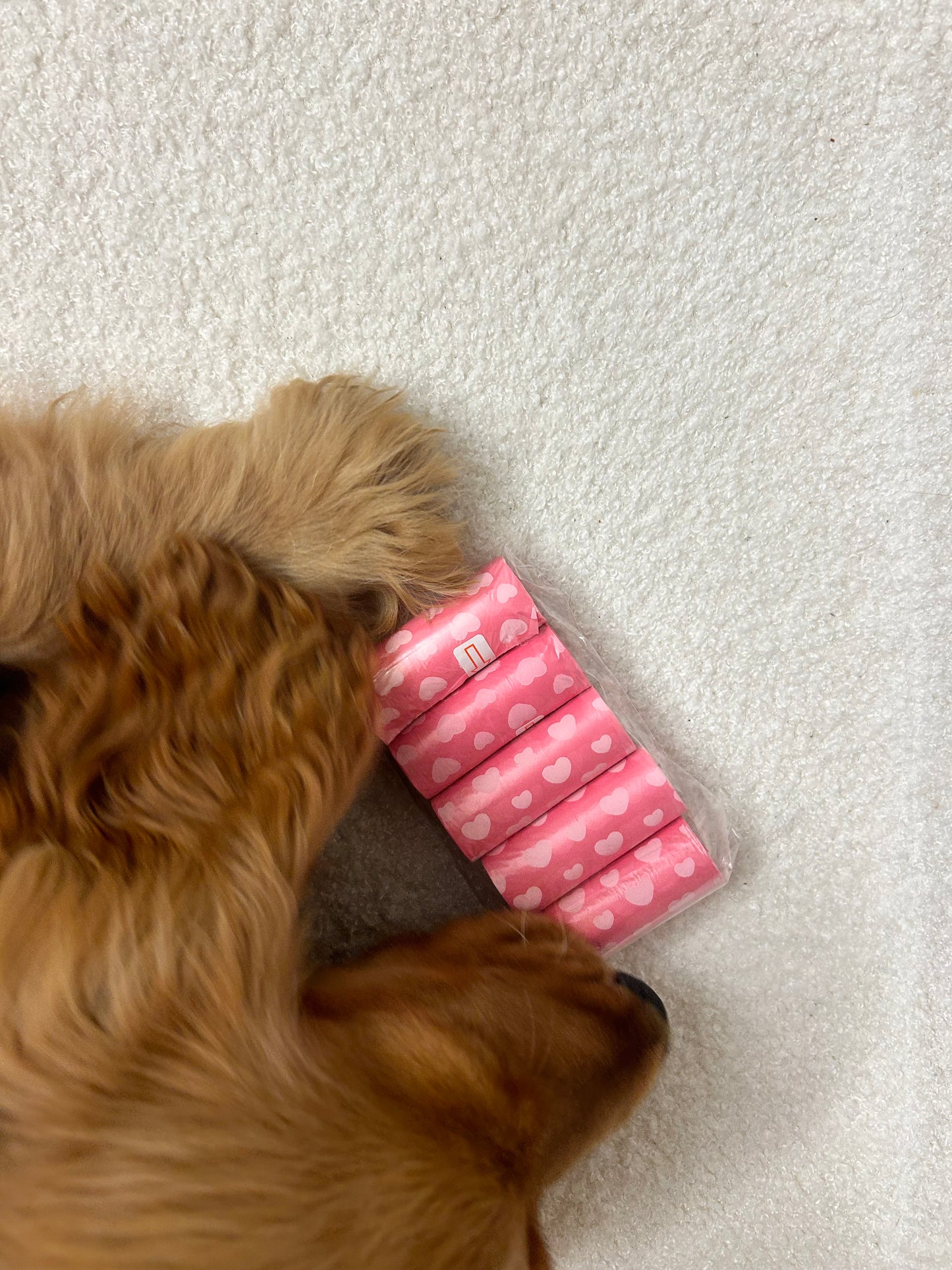 5 Sacs à crottes roses