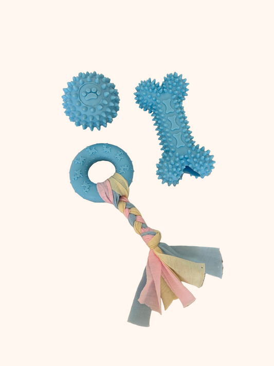 Kit de 3 Jouets – Plaisir, Mastication & Éveil
