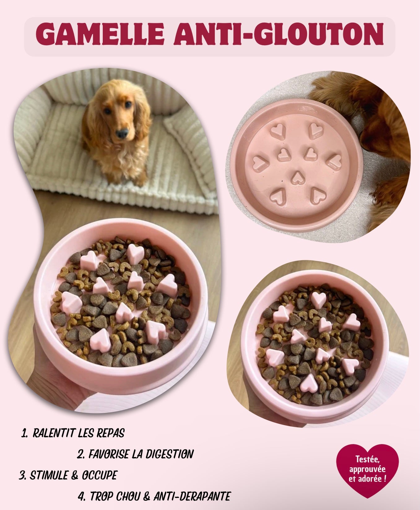 Kit pour Chiot - Rose