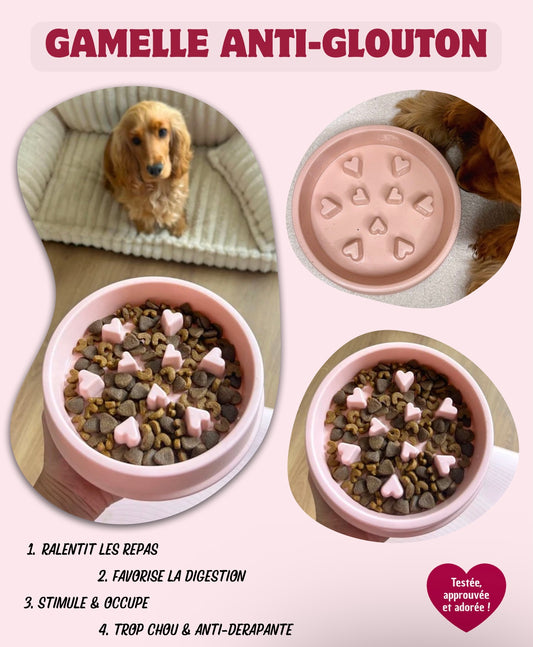 Gamelle rose à coeurs