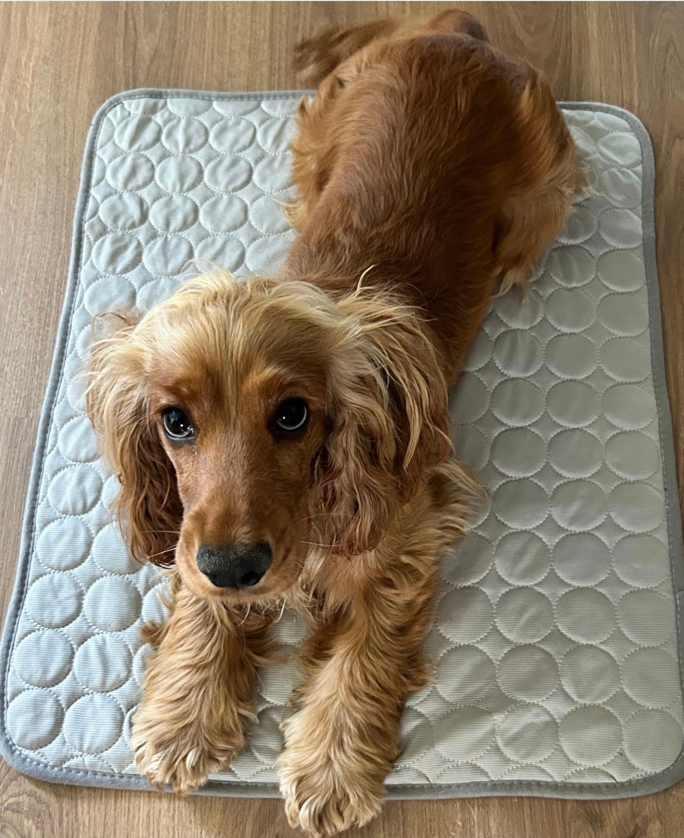 Tapis fraîcheur