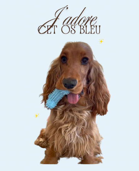 Kit de 3 Jouets – Plaisir, Mastication & Éveil