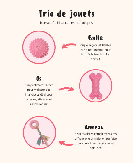 Kit pour Chiot - Rose