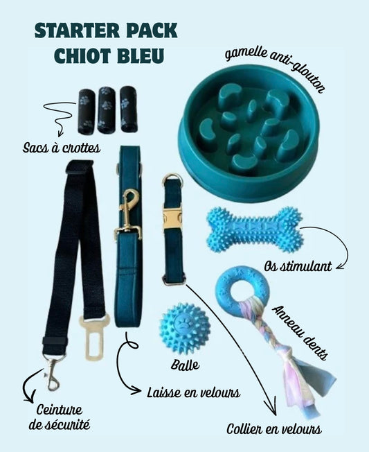 Kit pour chiot - Bleu