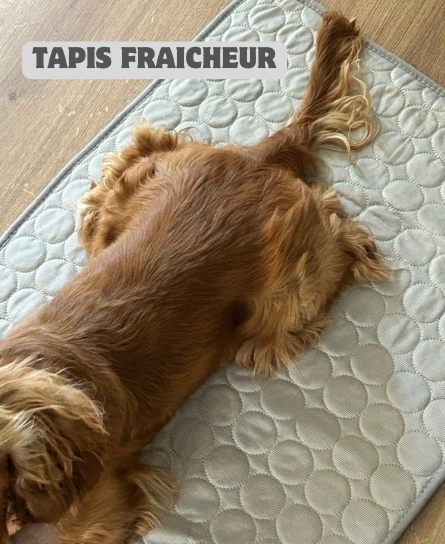 Tapis fraîcheur