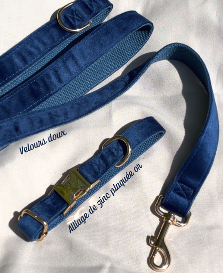 Duo Collier & Laisse - Bleu Roi