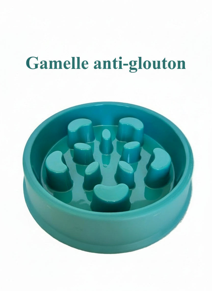 Gamelle anti-glouton