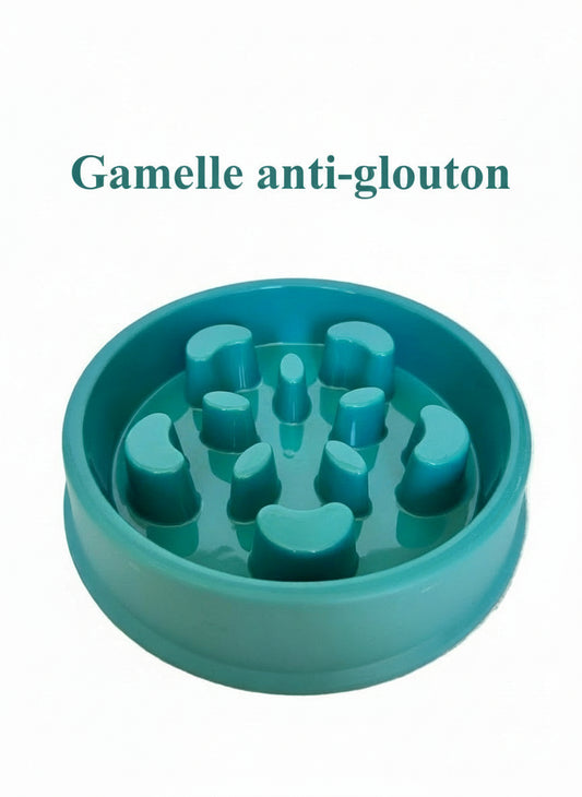 Gamelle anti-glouton