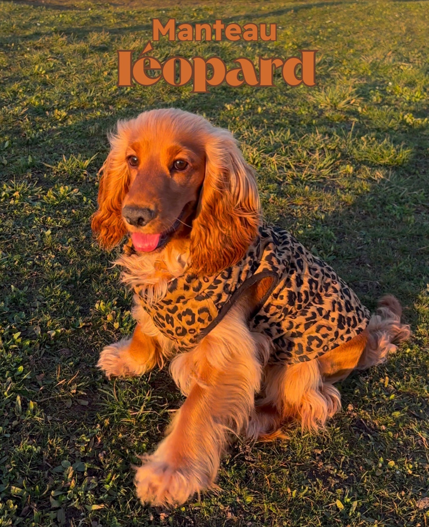 Manteau Leopard