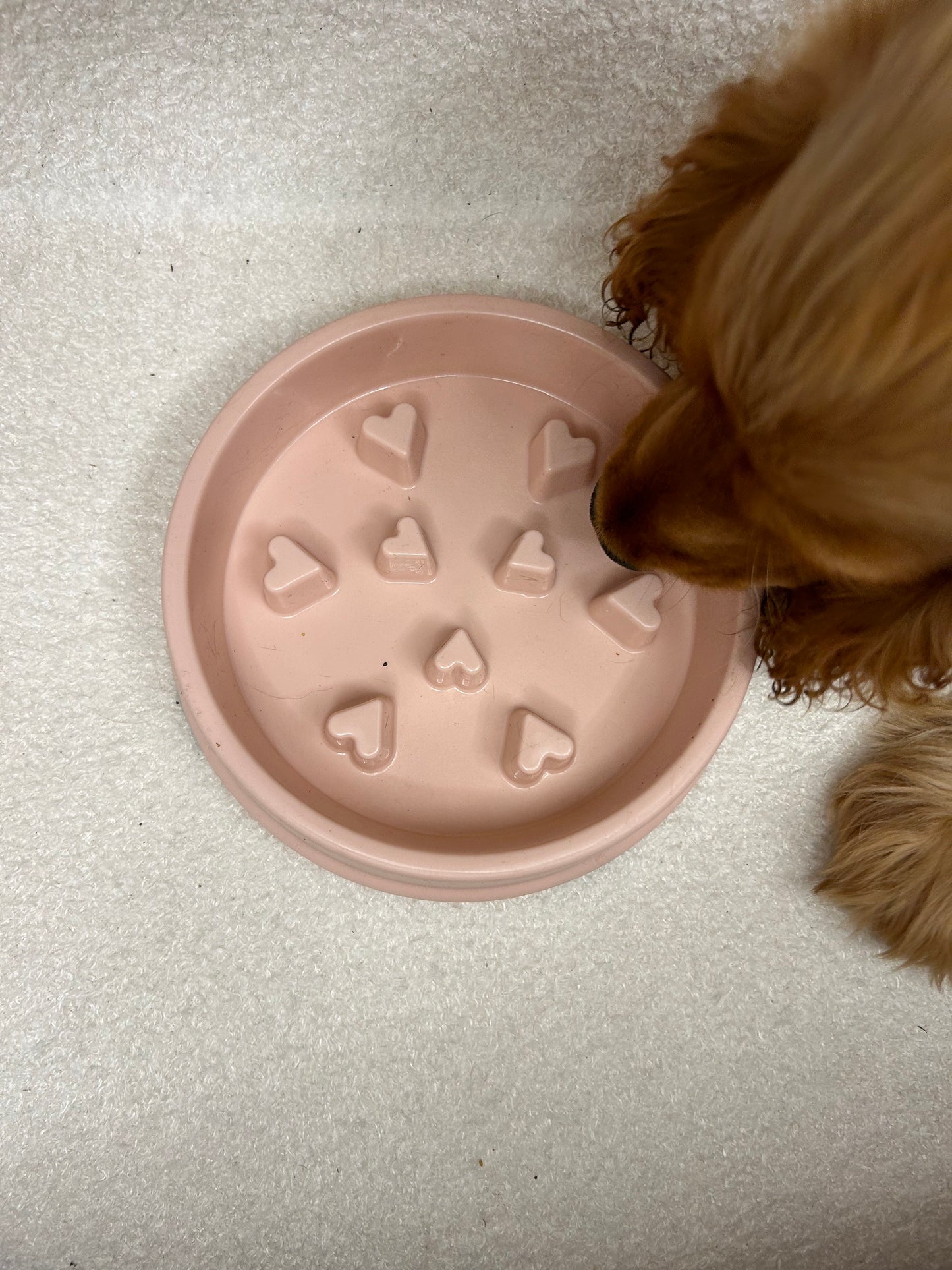 Gamelle rose à coeurs