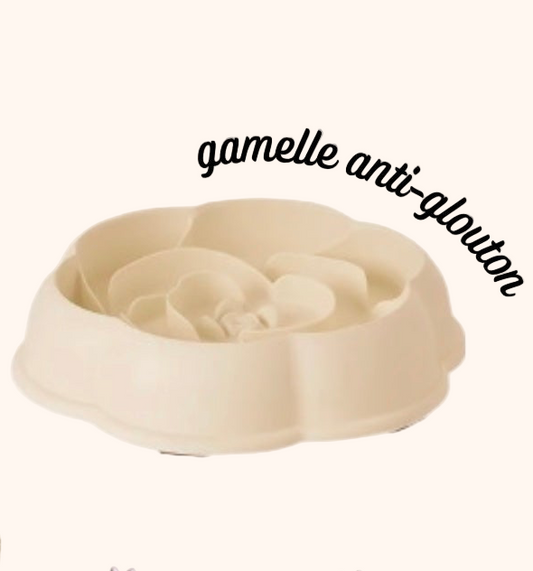 Gamelle anti-glouton beige