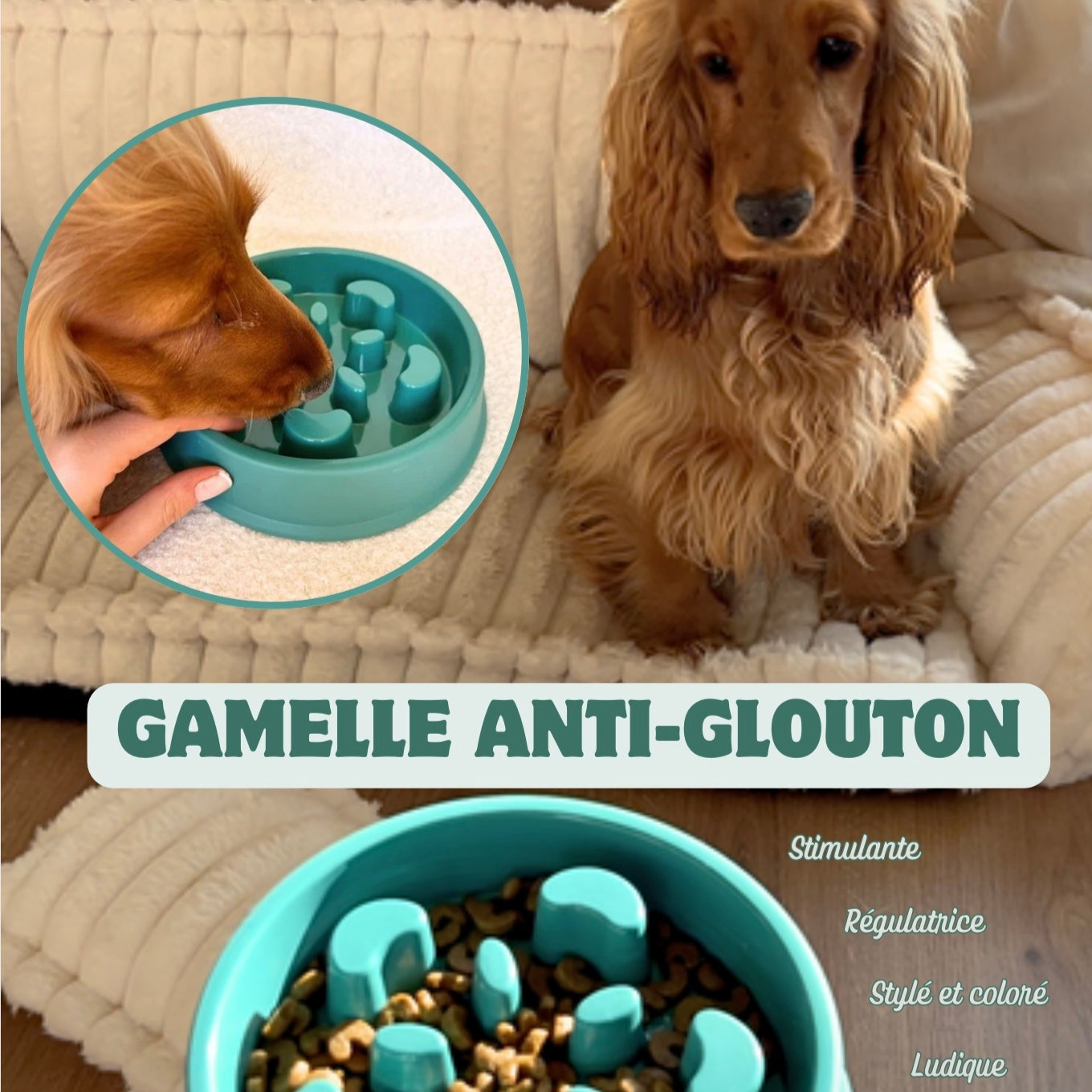 Gamelle anti-glouton