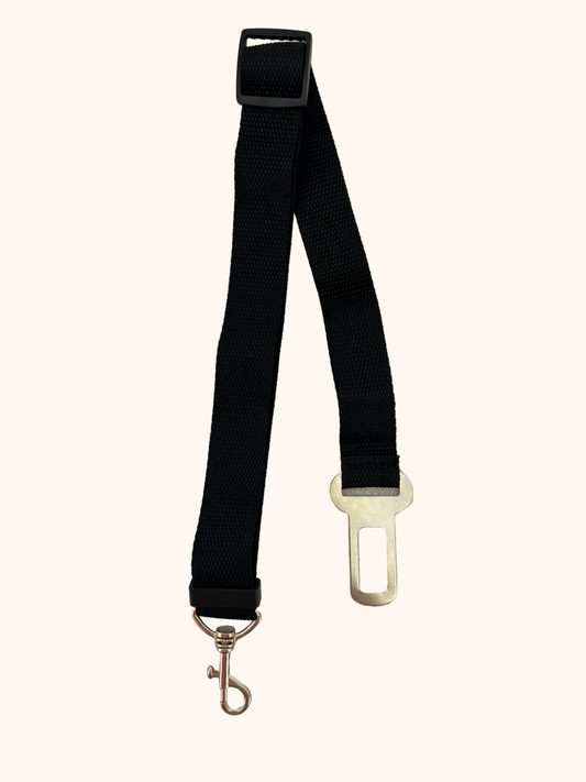 Ceinture de sécurité