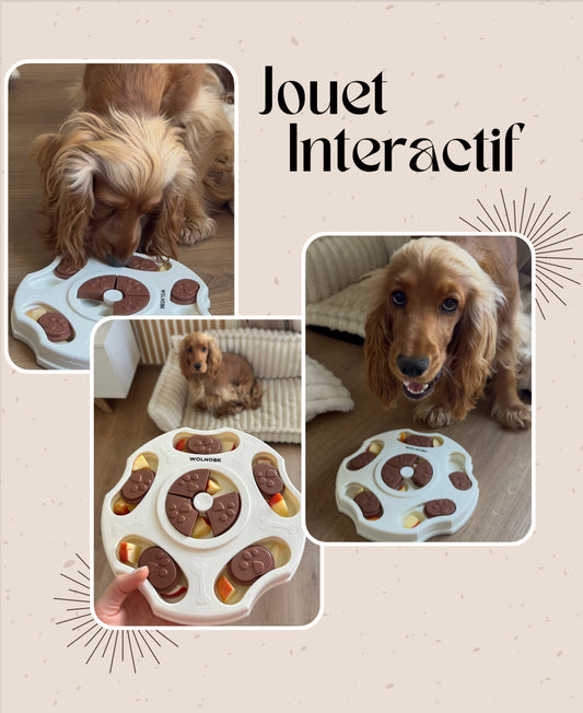 Jouet ludique et gourmand