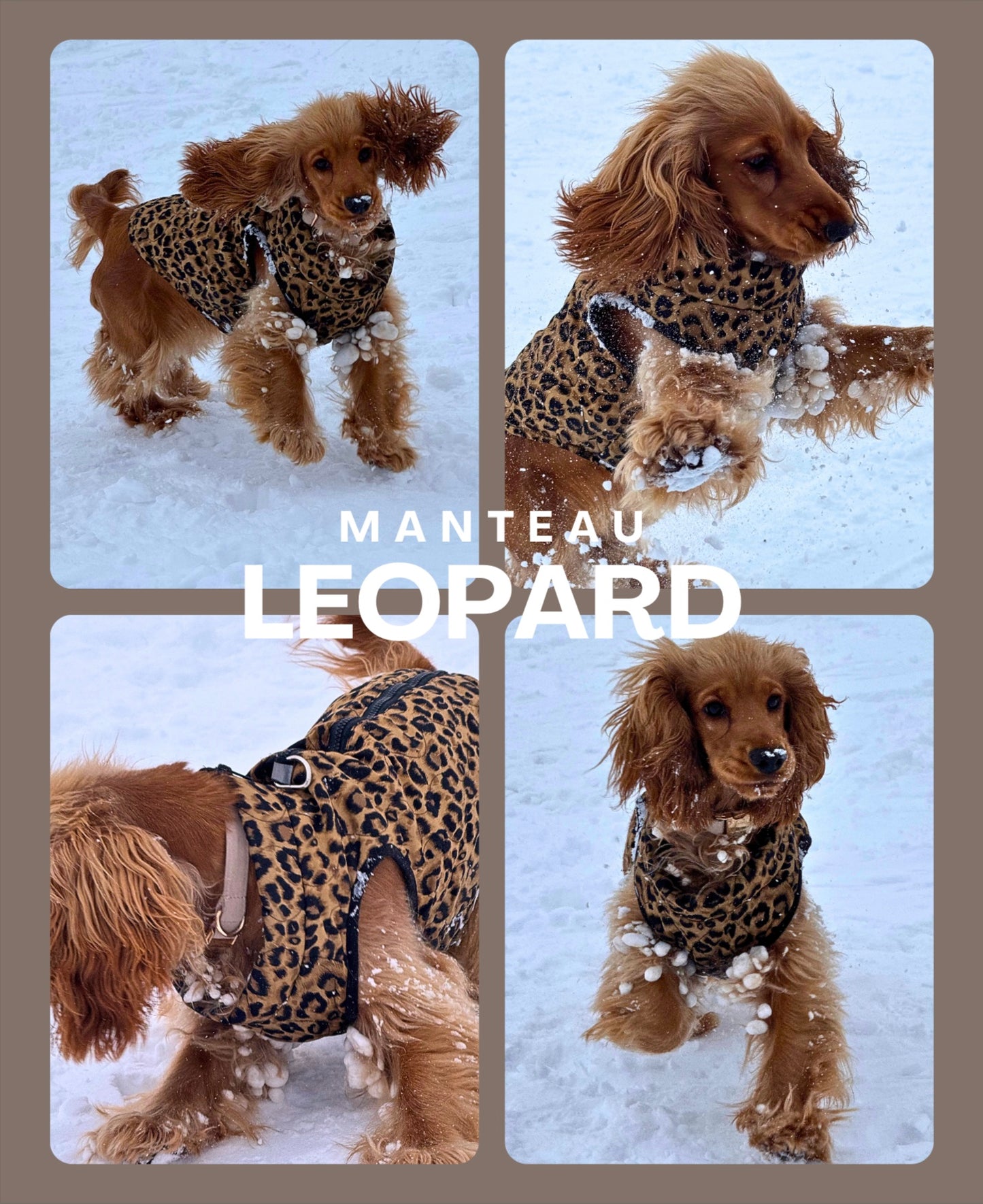 Manteau Leopard