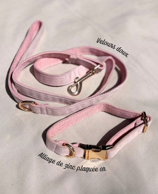Duo Collier & Laisse - Rose