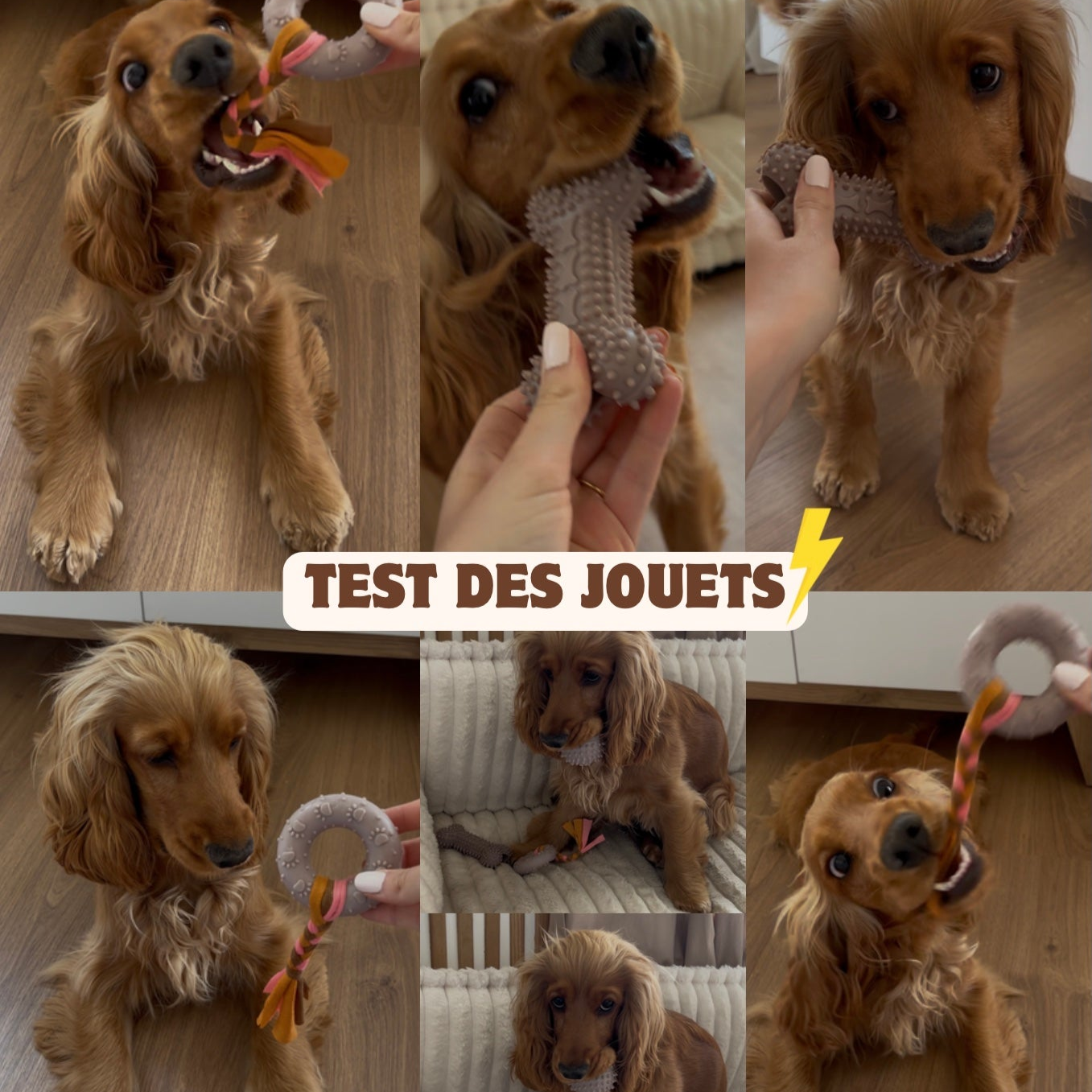 Kit de 3 Jouets – Plaisir, Mastication & Éveil