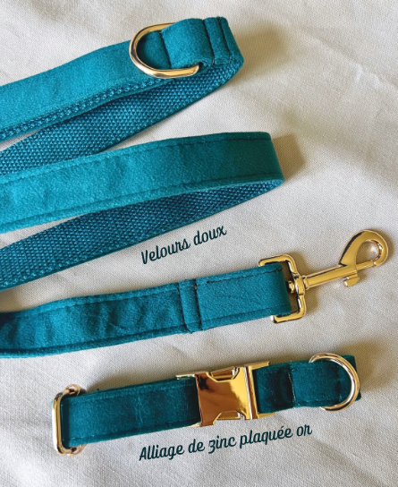 Duo Collier & Laisse - Vert