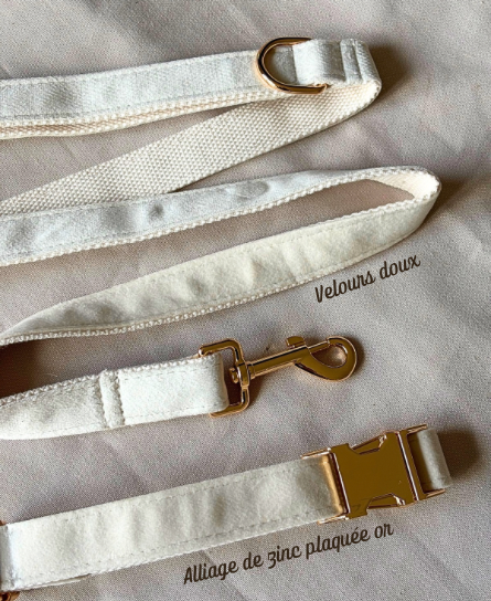Duo Collier & Laisse - Beige