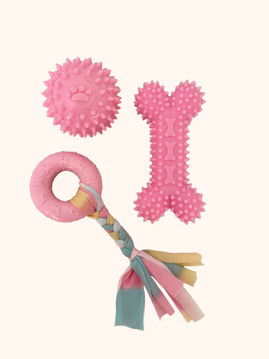 Kit de 3 Jouets – Plaisir, Mastication & Éveil
