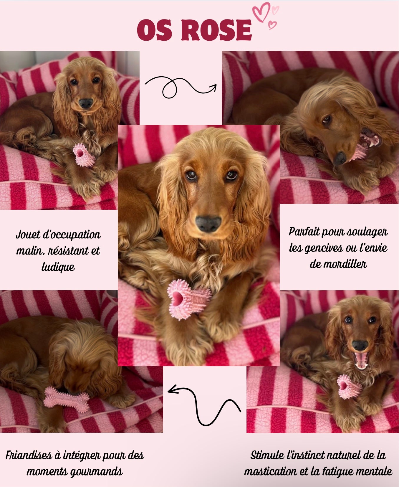 Kit pour Chiot - Rose