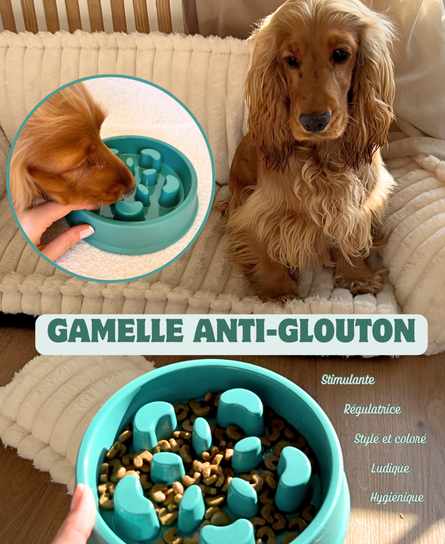 Kit pour chiot - Bleu